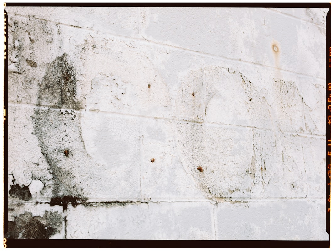 Water Extraction service in Richardson, TX