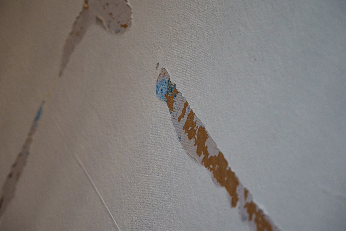Burst Pipe Repair service in Richardson, TX